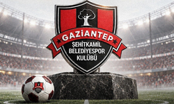 Şehitkamil Belediyespor PGL'de mücadele edecek