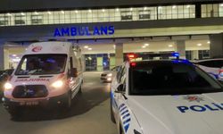 Gaziantep'te 2 kişinin öldüğü silahlı kavganın zanlısı yakalandı