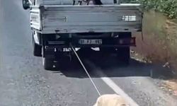 Köpeği kamyonetin arkasına bağlayıp sürükleyerek götürdü