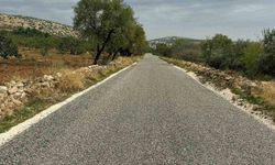 Araban'da bağlantı yolu asfaltı tamamlandı