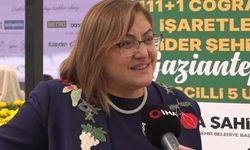 Belediye Başkanı Şahin'den lezzetin başkentine davet