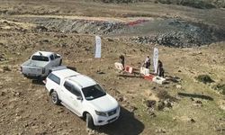 İslahiye'de kınalı keklikler doğaya salındı