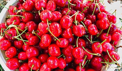 Kiraz Afyonkarahisar’da 35 TL, Almanya’da 11,90 Euro