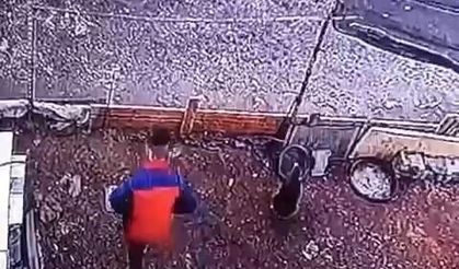 Yumurta hırsızının rahatlığı ’pes’ dedirtti