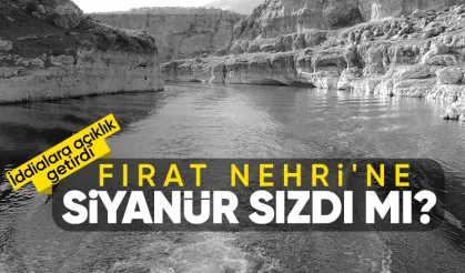 Erzincan'da maden felaketi sonrası Fırat nehrine siyanür karıştı mı? Beklenen açıklama geldi