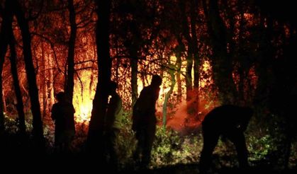 Bakanlık’tan Kuşadası açıklaması