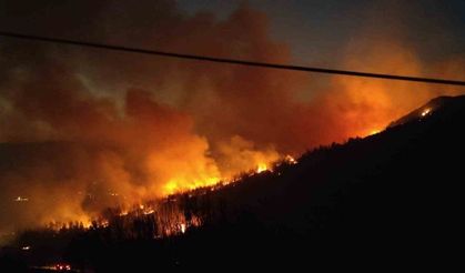 Selçuk’taki yangında felaket büyüyor