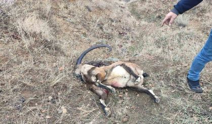 İyi Parti Milletvekili Karaman’a yasak av cezası