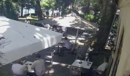 Çınardan kopan dal can aldı: O anlar kamerada