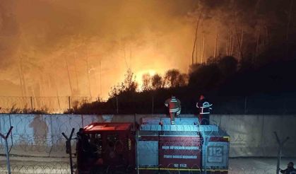 Suriye sınırında alevlerle mücadele gece de devam ediyor: Yangının Türkiye sıçramaması için mücadele ediliyor