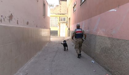 Kilis’te 2 yaşındaki kız çocuğu kayboldu