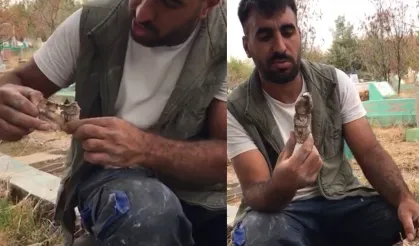 Kan donduran manzara! Mezarlıktan kefenlenmiş oyuncak bebek çıktı