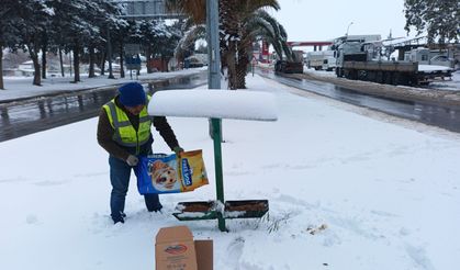 Nurdağı'nda sokak hayvanları için yiyecek bırakıldı