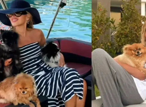 Benim bu dünyayla işim bitti! Seren Serengil'in acı günü! Köpeğini kaybetti