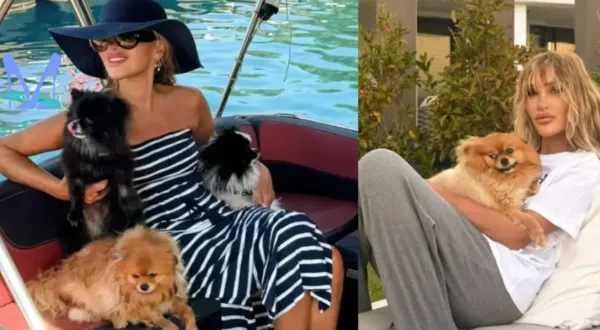 Benim bu dünyayla işim bitti! Seren Serengil'in acı günü! Köpeğini kaybetti