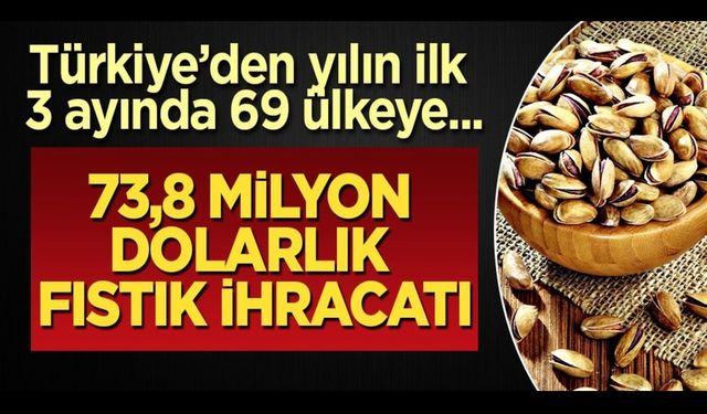 Türkiye'den yılın ilk 3 ayında 73,8 milyon dolarlık Antep fıstığı ihraç edildi! Resmen duyuruldu!