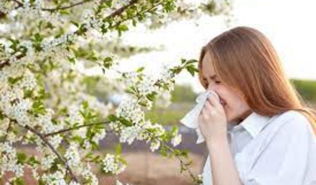 Mevsimsel polen alerjisine dikkat
