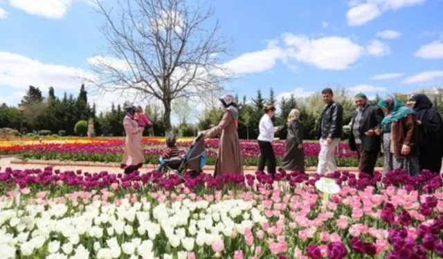 Gaziantep Botanik Bahçesi'nde ilkbahar renkleri hakim oldu