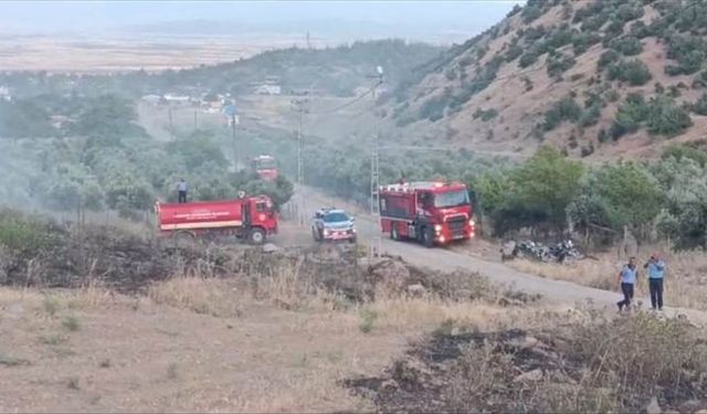 Gaziantep'te ormanlık alanda çıkan yangın söndürüldü