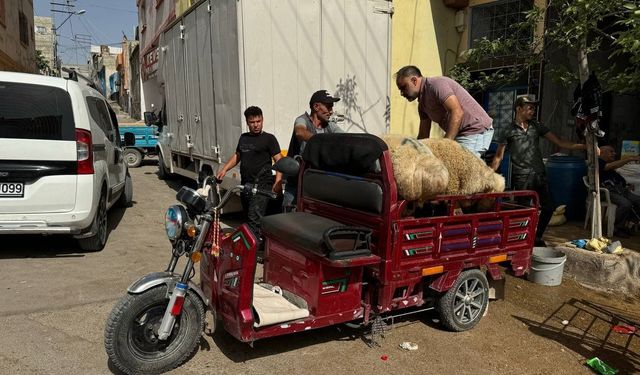 Kilis’te kurbanlıklar sepetli motosikletlerle taşındı