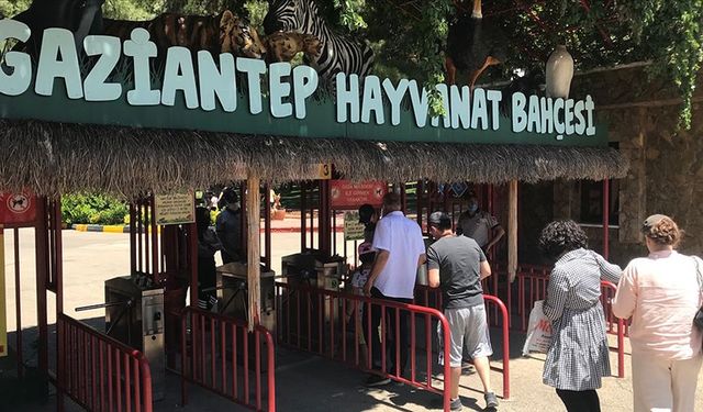 Gaziantep Hayvanat Bahçesi'ni 3 günde 27 bin kişi ziyaret etti