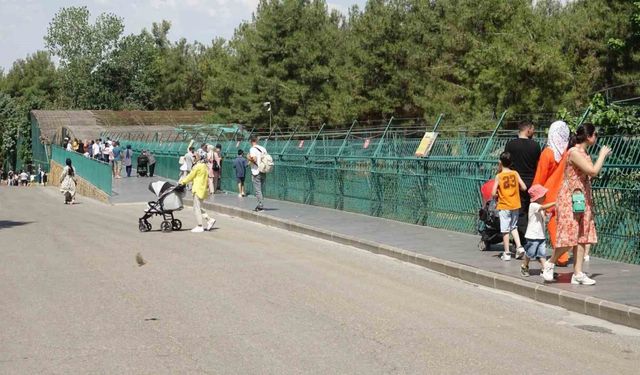 Gaziantep Doğal Yaşam Parkı’na ziyaretçi akını