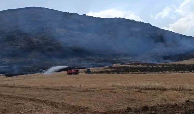 Gaziantep’te anız yangını ormanlık alana zarar verdi