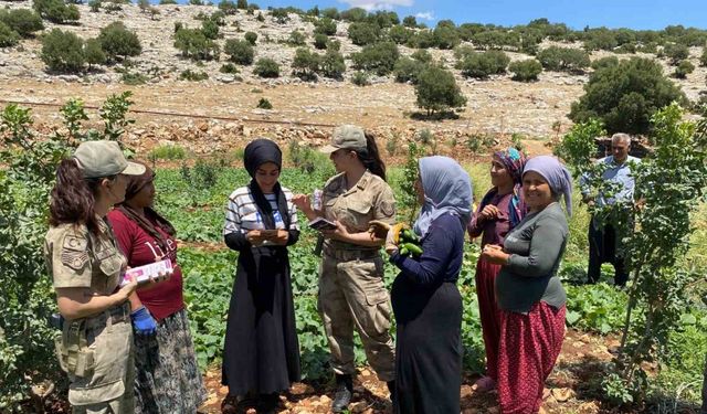 Gaziantep’te jandarma KADES uygulamasını tanıttı