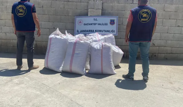 Gaziantep'te 1,5 ton Antep fıstığının çalınmasıyla ilgili 1 şüpheli yakalandı