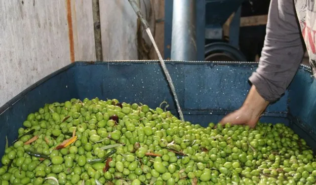 Gaziantep'te sahte zeytin yağı üreten işletmeye ceza kesildi