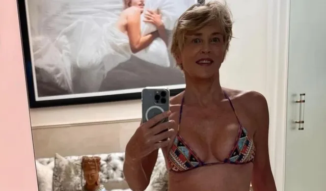 Kaza geçirmişti! Dünyaca ünlü oyuncu Sharon Stone yüzünün son halini paylaştı