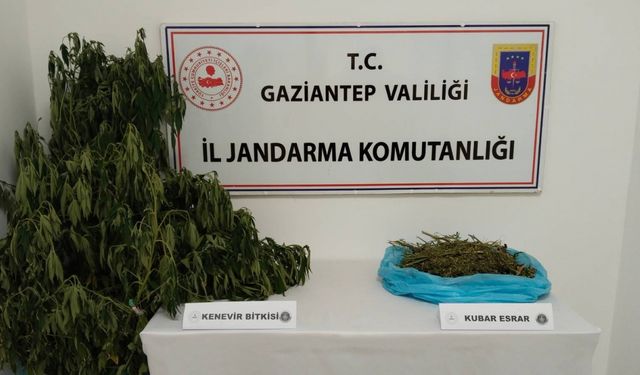 Gaziantep'te uyuşturucu operasyonunda 1 şüpheli yakalandı