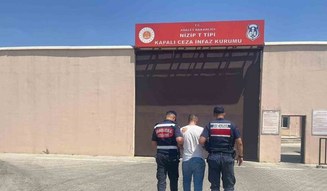 Antep fıstığı çalma anı kameraya yansıyan şahıs tutuklandı