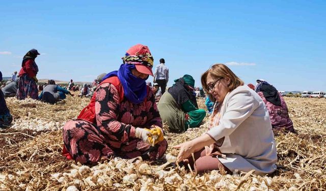 Gaziantep'te çiftçiye mazot desteği verildi