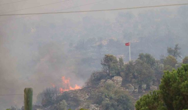 Dağ taş yandı, Türk bayrağı alevlerden korundu