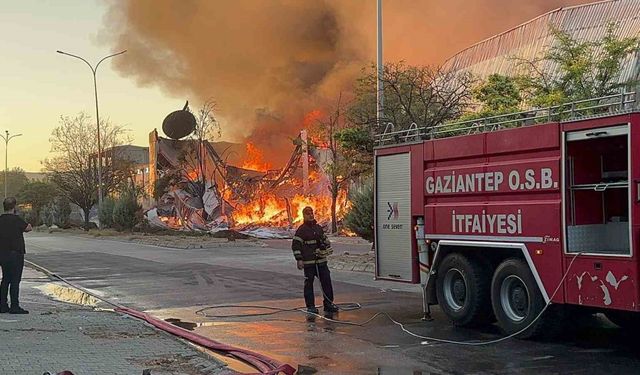 Gaziantep’te halı fabrikasında yangın