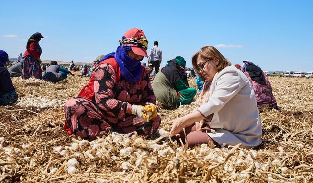 Gaziantep'te "Haydi Tarladan Sofraya"