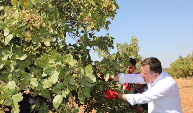 Nizip Belediye Başkanı Doğan'dan tepki: ''Çiftçinin ürünü para etmedi''