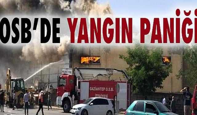 Gaziantep OSB'de Korkutan Yangın