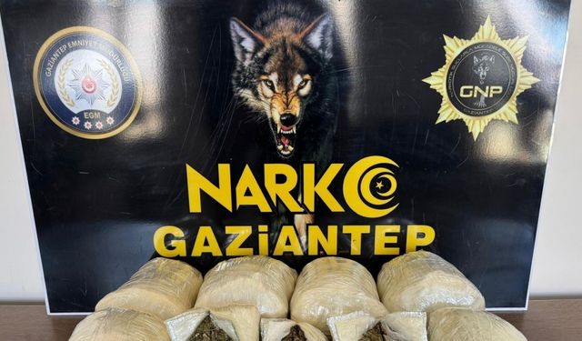 Gaziantep’te 5 kilo skunk ele geçirildi