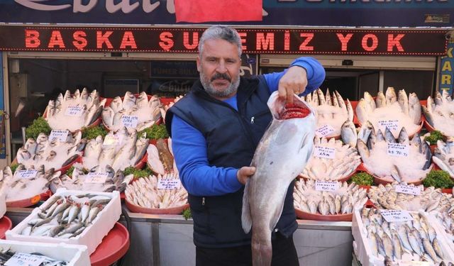 Gaziantep’te havaların serinlemesiyle balık satışları arttı