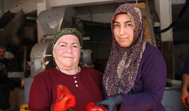 Gaziantep’te kadınlar ekmeklerini ’acı’dan çıkarıyor