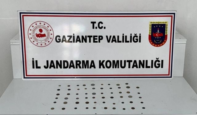 Tarihi eser kaçakçılığına jandarma engeli