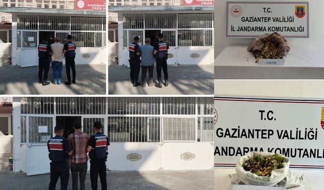 Gaziantep'te fıstık çalan 6 şüpheli yakalandı