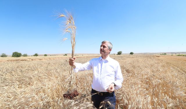 Şahinbey Belediyesi'nden çiftçilere 1 milyarlık destek