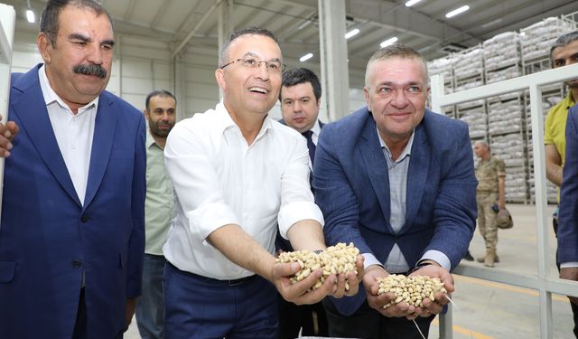 Vali Çeber, Antep Fıstığı lisanslı depoda incelemelerde bulundu