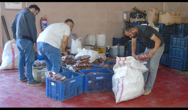 Gaziantep'te belediyeler üreticiye destek için biber alımına başladı