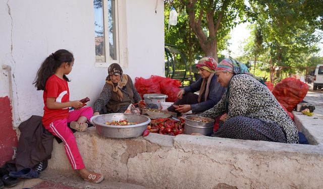 Gaziantep'te kırsaldaki çiftçi kadınlar ev ekonomisini kalkındırıyor