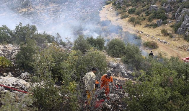 Gaziantep'te ormanlık alanda çıkan yangın kontrol altına alındı