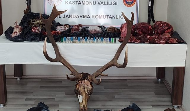 Vurdukları geyikten sucuk yapmışlar: Gözaltına alınan 5 kişiye ceza yağdı